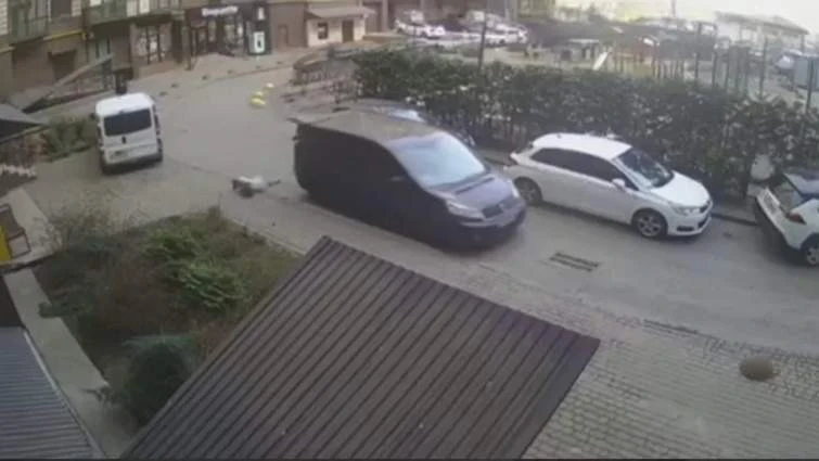 Покарання за наїзд на жінку: у Луцьку суд виніс вирок водієві ТЦК