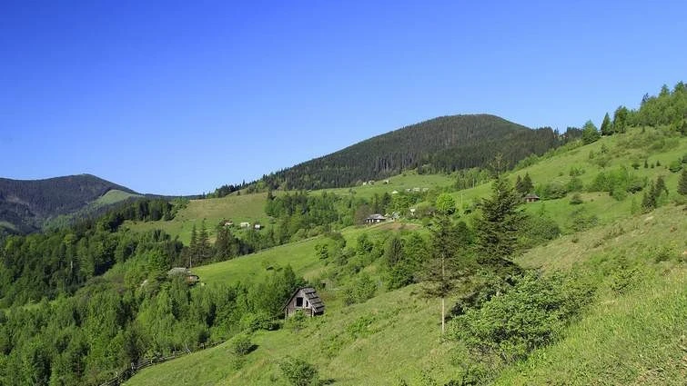 Землю на Свидовці віддали в оренду бізнес-партнеру співвласника «Буковелю»