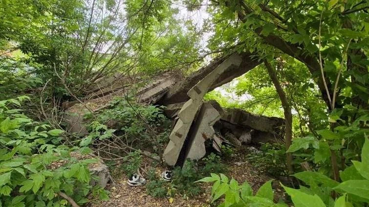 Хащі та бетон біля Голосківського цвинтаря у Львові замінять зеленими газонами